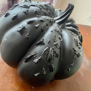 Large black Halloween 🎃 pumpkin with bugs